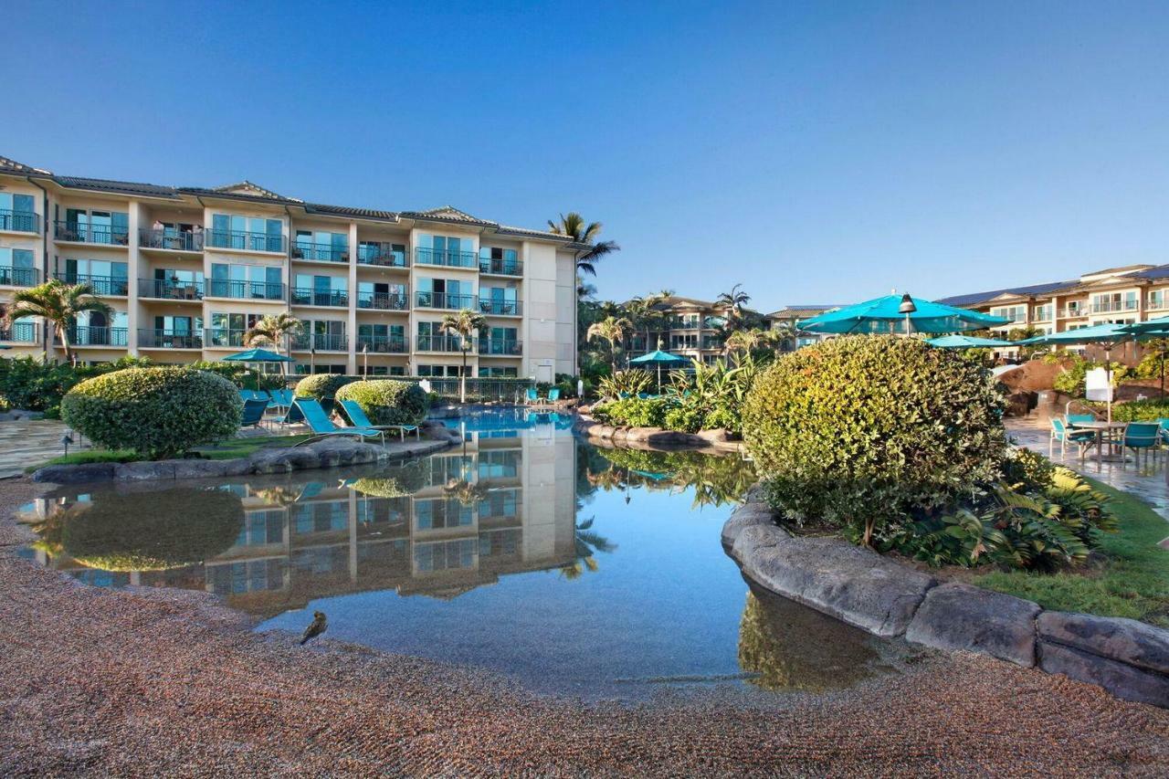 Waipouli Beach Resort Beautiful Luxury Ground Level Garden View Ac Pool! Kapa'a Zewnętrze zdjęcie